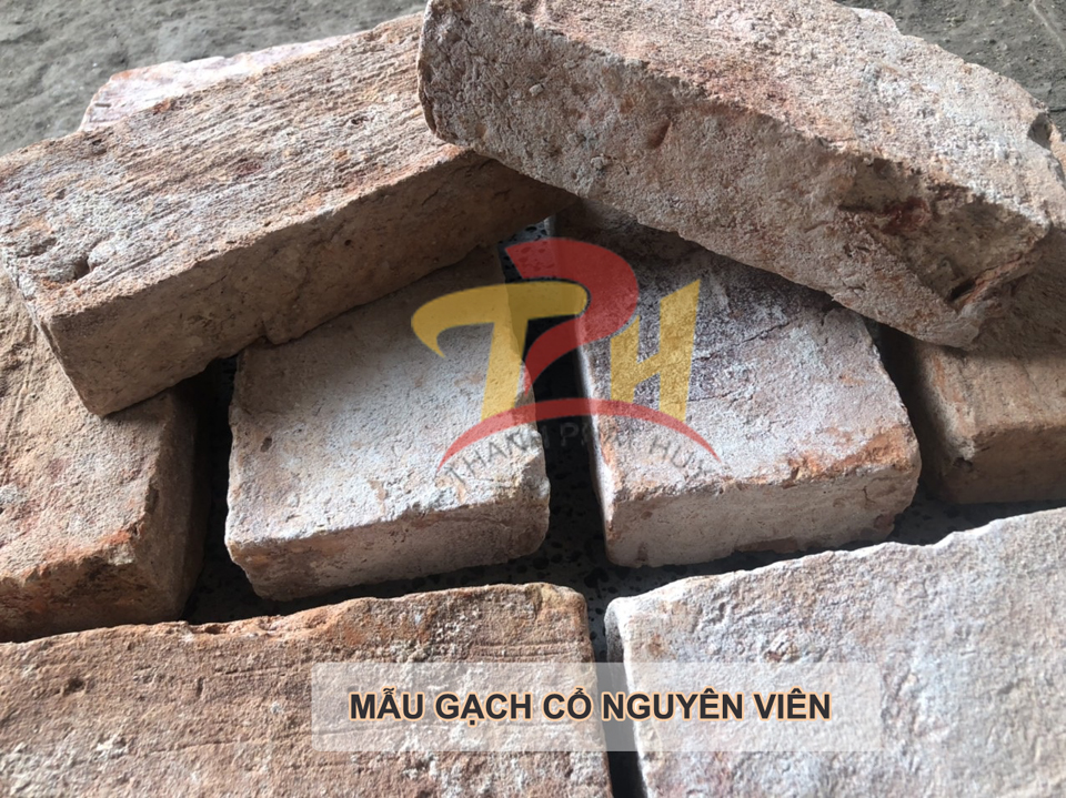 gach-co-xua